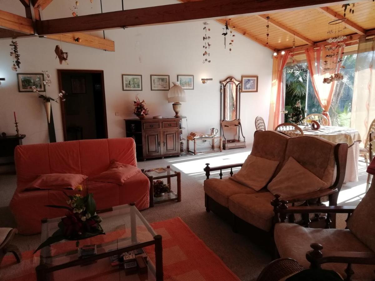 Вілла Casa Da Boavista Санта-Марія-да-Фейра Екстер'єр фото